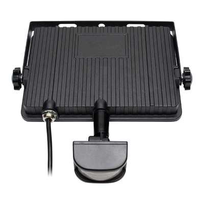 IP66 Outdoor Remote Control CCT Dimming Motion Sensor LED Flood Light with CE ROHS UKCA Certified