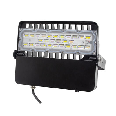 مصباح LED للخارج عالي الكفاءة 100W 48V DC